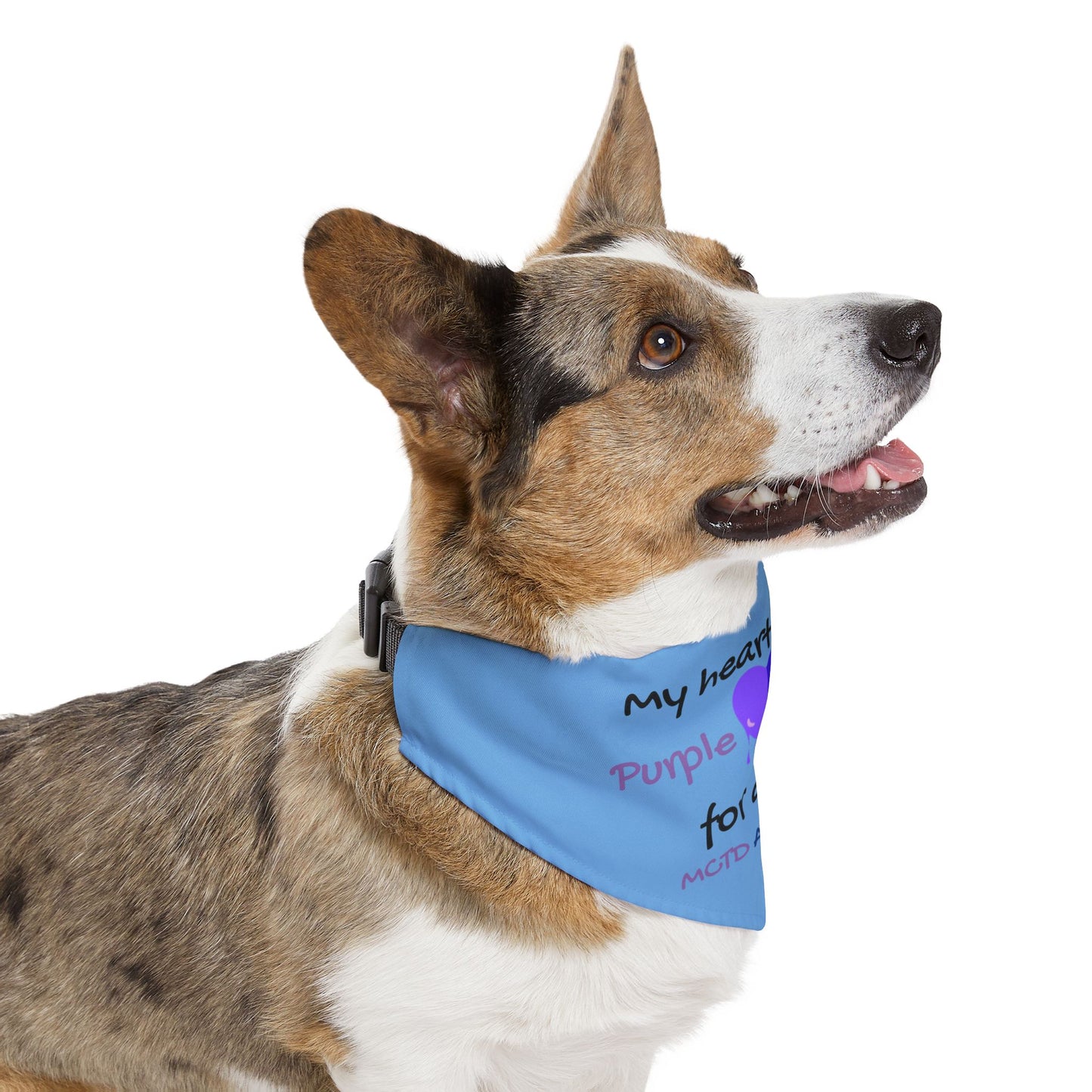 MCTD Awareness Pet Bandana Collar