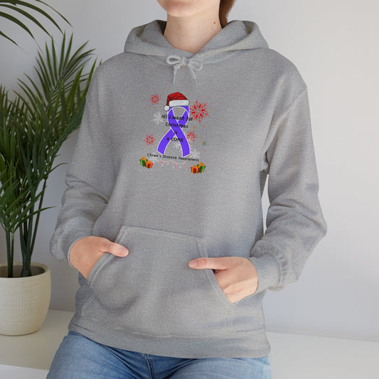 Chron's Disease Awareness Unisex Hoodie Hooded Sweatshirt