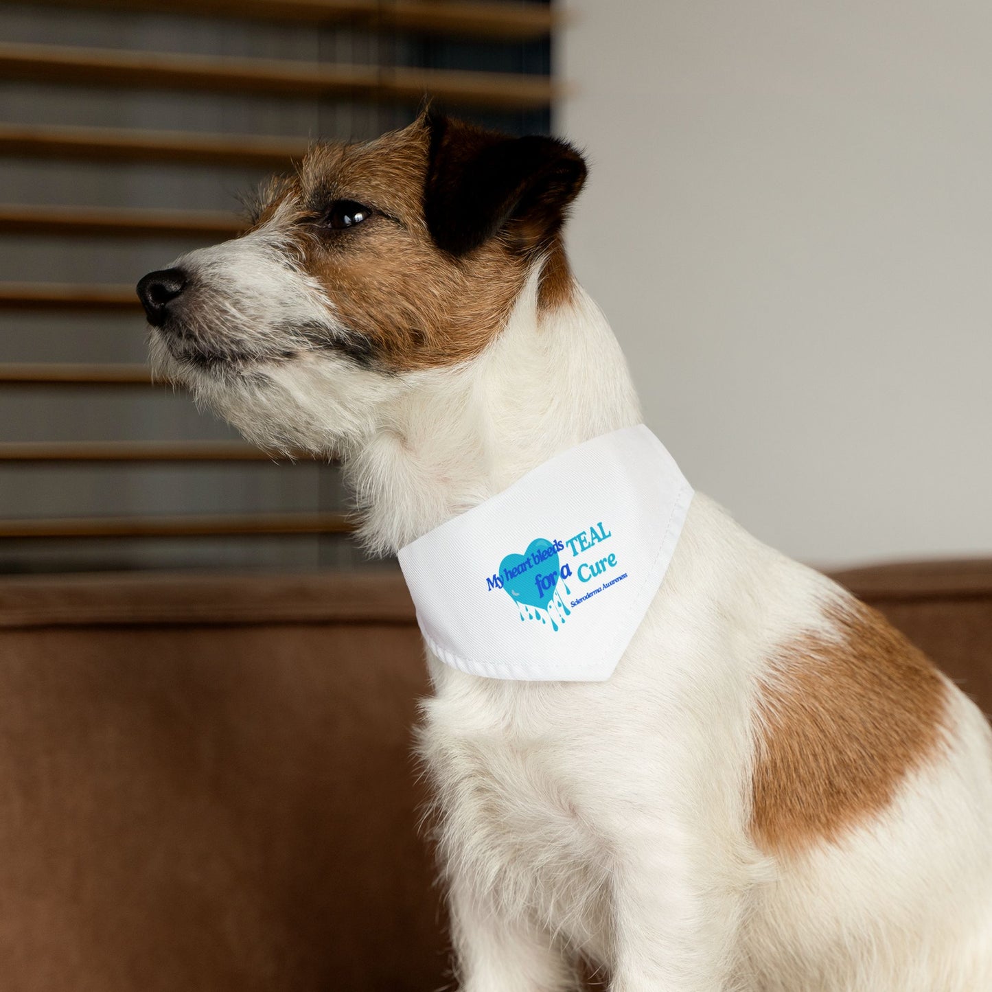 Scleroderma Awareness Pet Bandana Collar