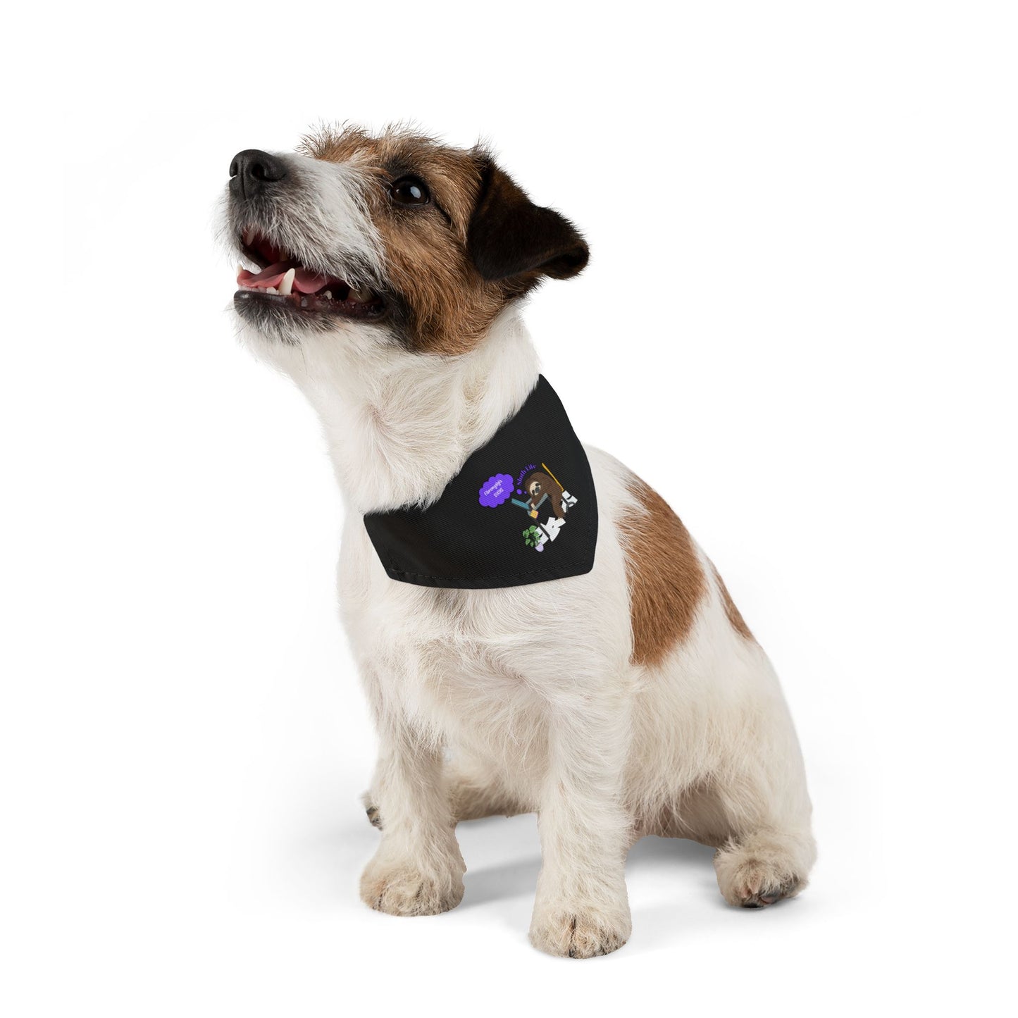 Fibromyalgia Sucks Pet Bandana Collar