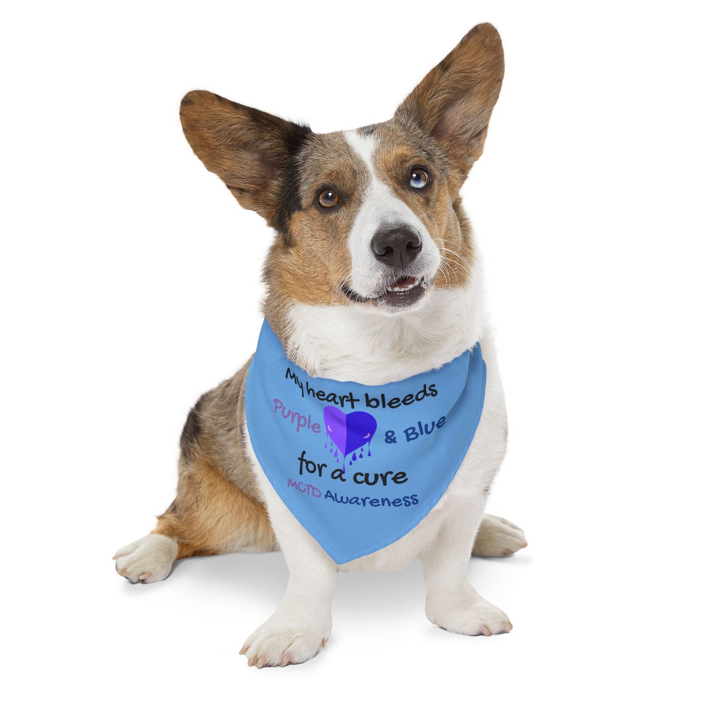 MCTD Awareness Pet Bandana Collar