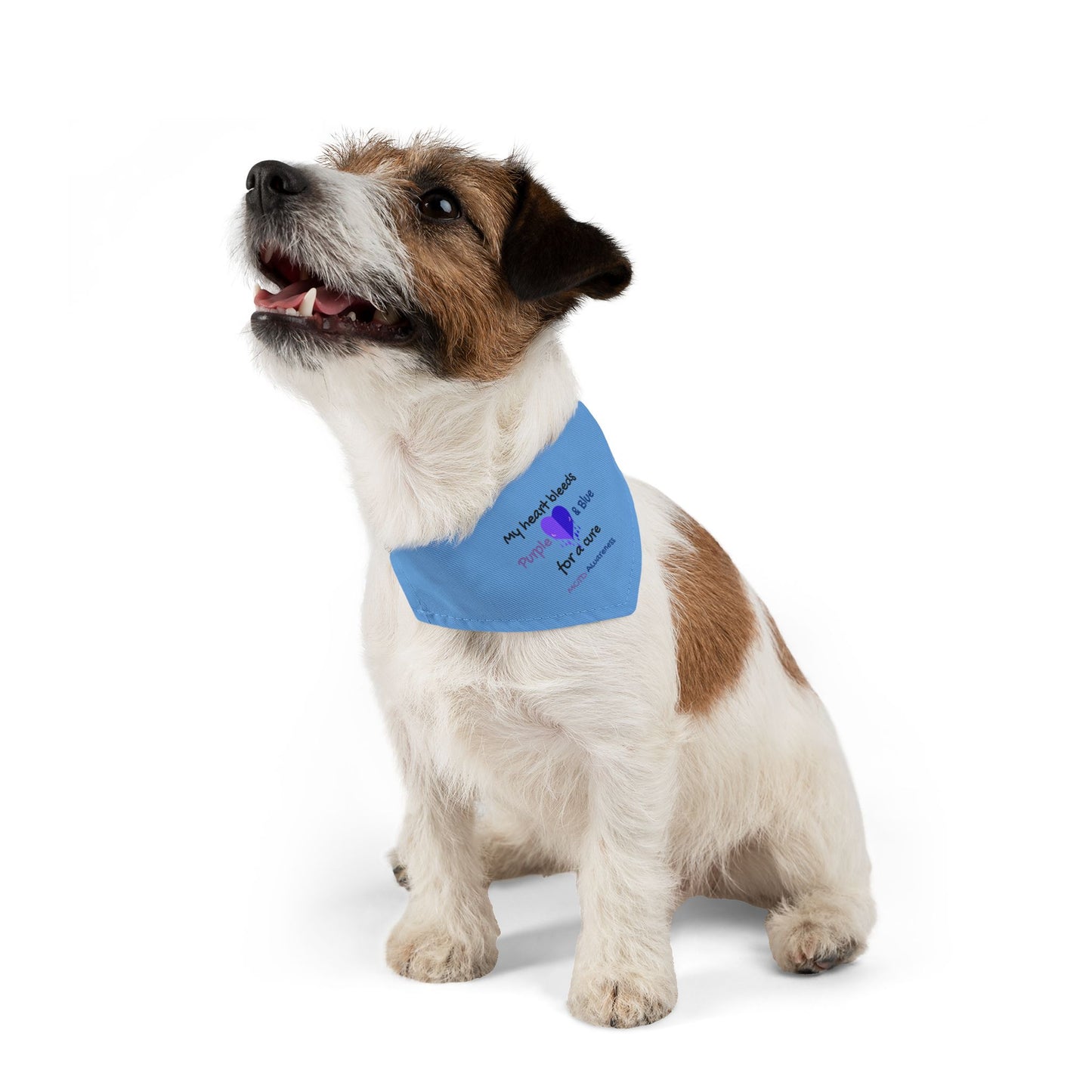 MCTD Awareness Pet Bandana Collar