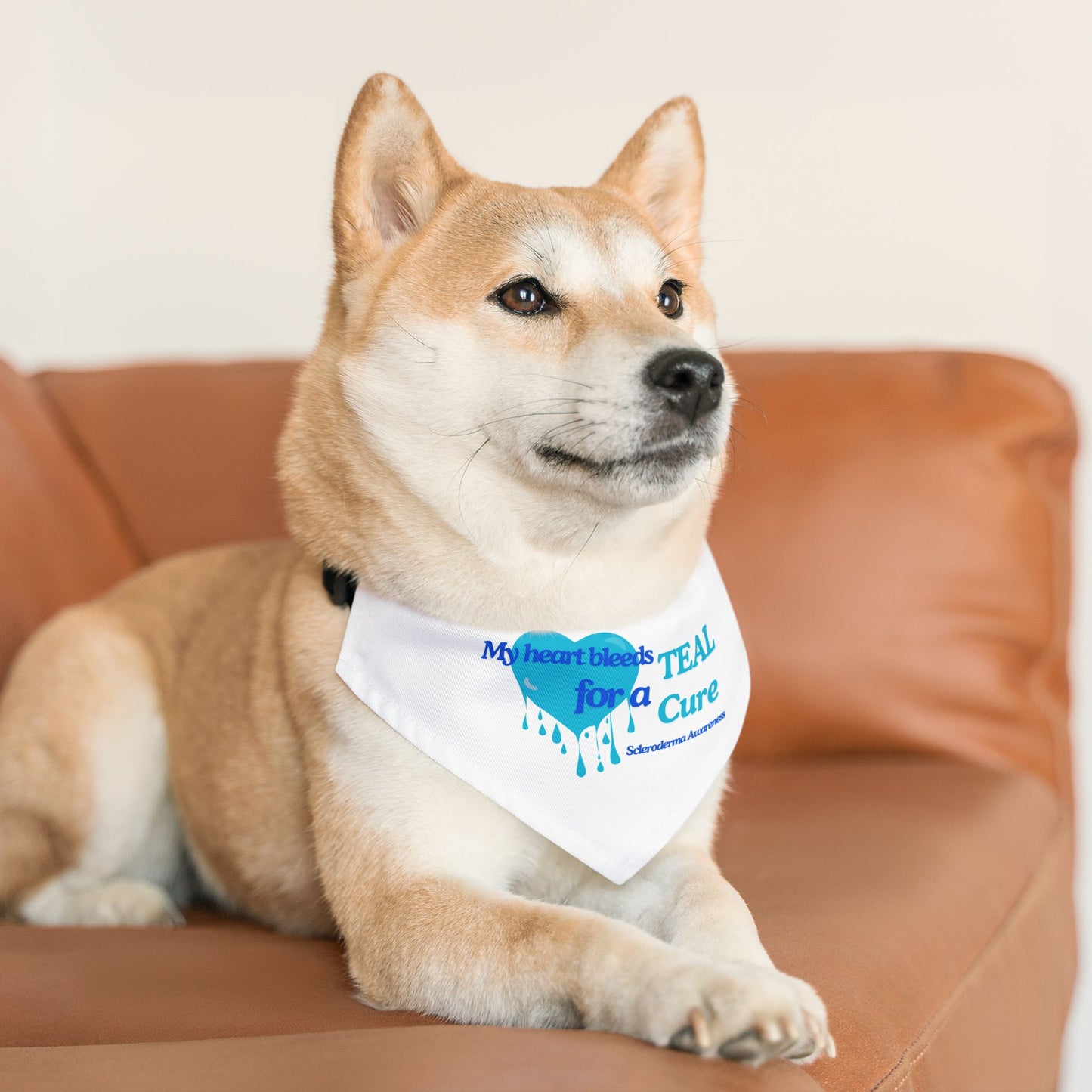 Scleroderma Awareness Pet Bandana Collar