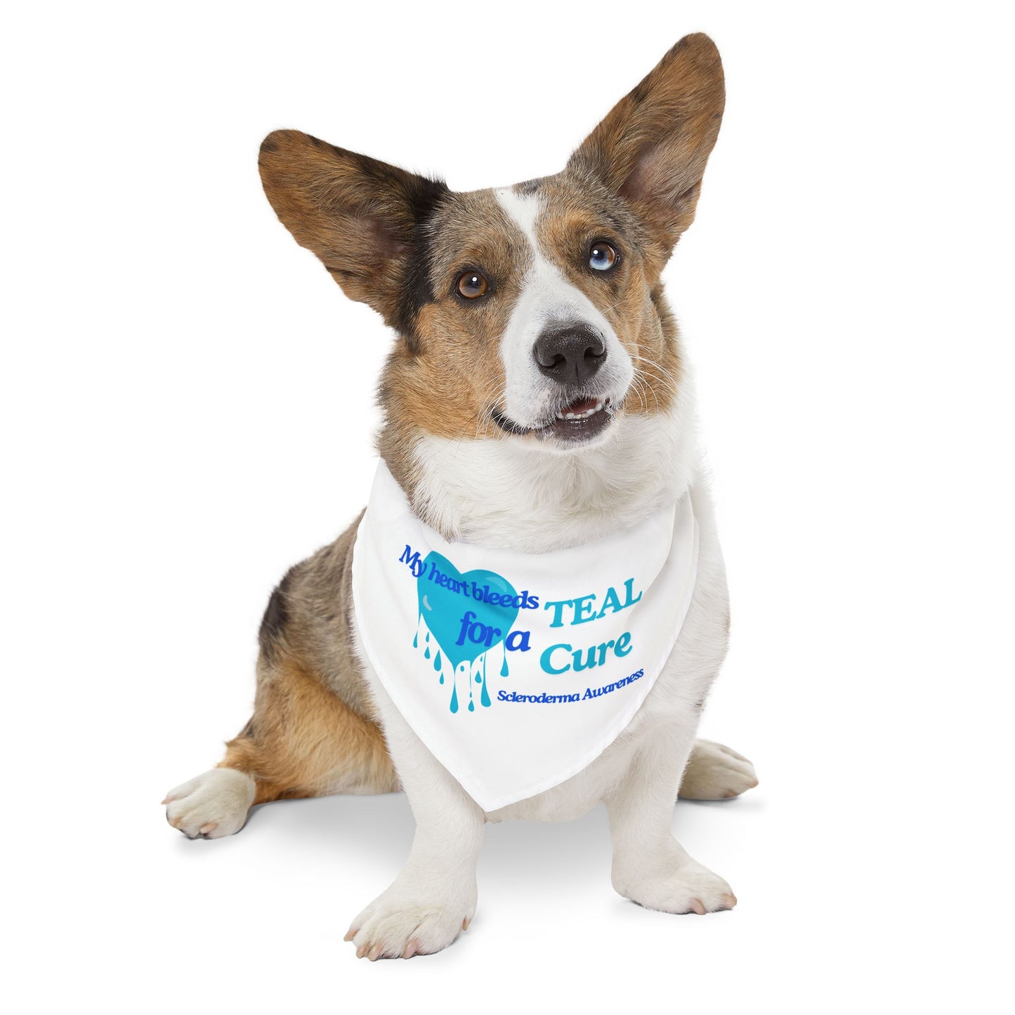 Scleroderma Awareness Pet Bandana Collar