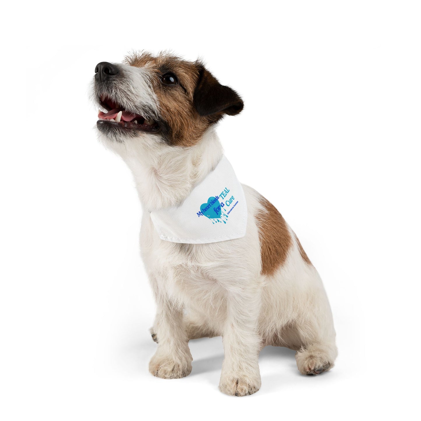 Scleroderma Awareness Pet Bandana Collar