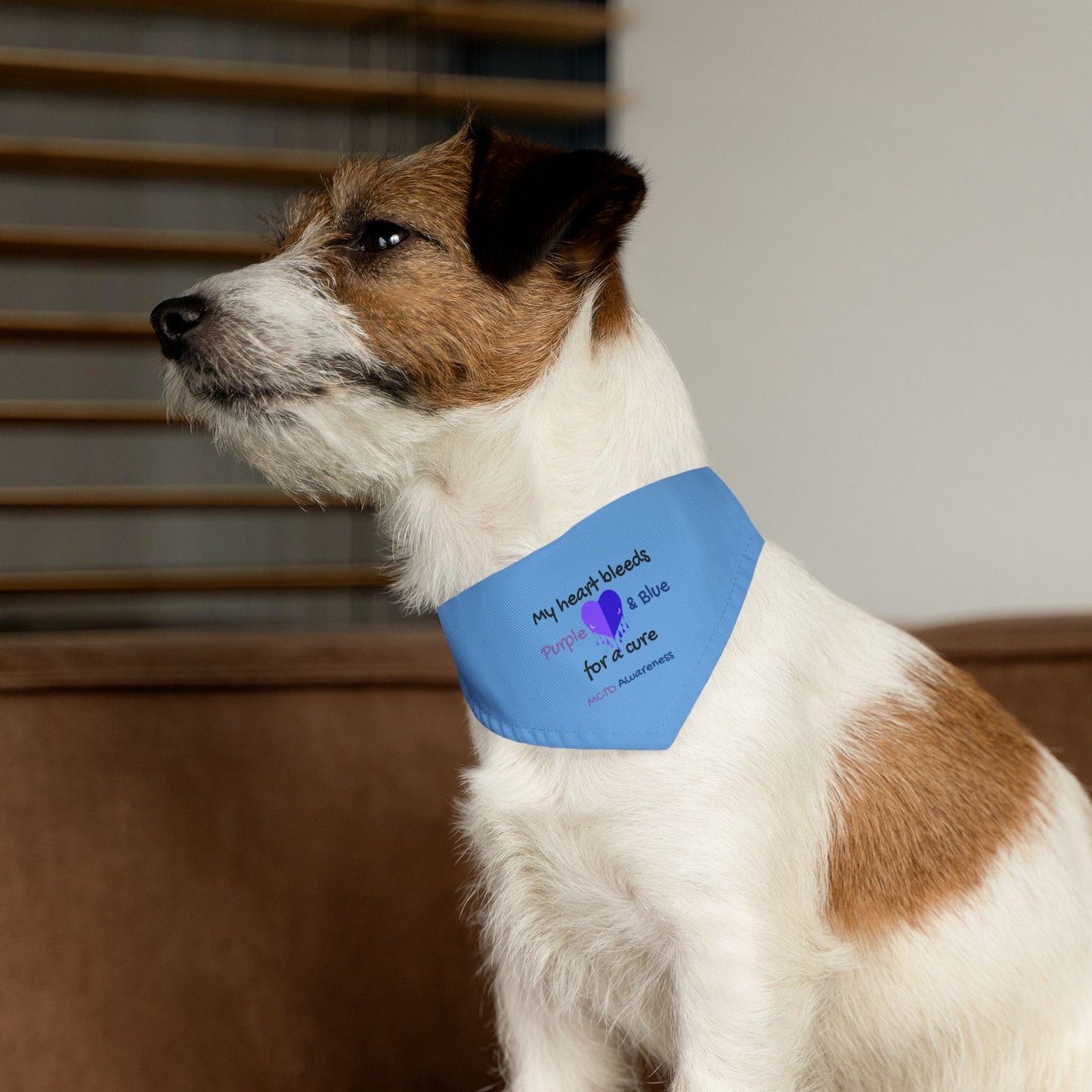 MCTD Awareness Pet Bandana Collar