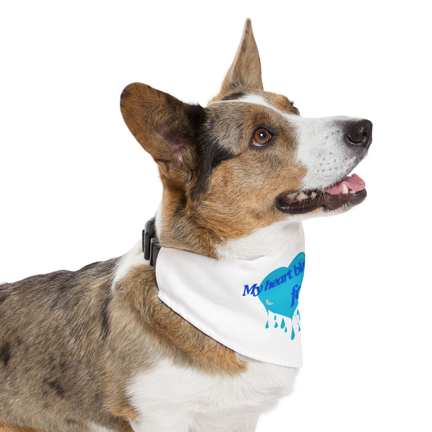 Scleroderma Awareness Pet Bandana Collar